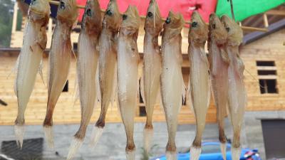 Прикрепленное изображение: 2014-09-06 15.38.26.jpg